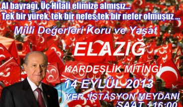 Elazığ Kardeşlik Mitingi