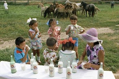 Kımızla Tedavi Merkezi Açalım