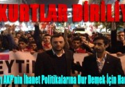 Bozkurtlar Diriliyor!