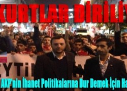Bozkurtlar Diriliyor!
