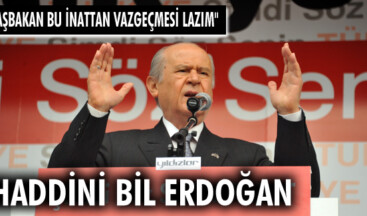 Haddini bil Erdoğan