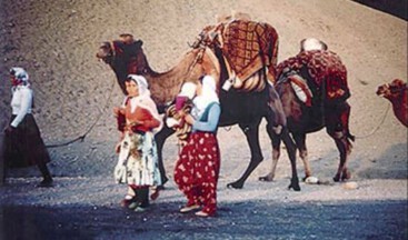 “Türkmen Kanun Tanımaz”