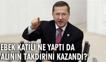 ‘Bebek katili ne yaptı da valinin takdirini kazandı?’