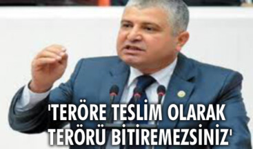 Teröre teslim olarak terörü bitiremezsiniz