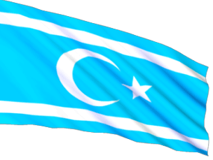 Türkmen Olgusu Nedir? Türkmenler kimdir?