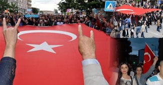 Ülkücüler Bayrağımıza Sahip Çıktı