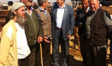 İTHAL ET BESİCİLERİ MAĞDUR ETTİ