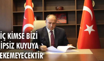 Hiç kimse bizi dipsiz kuyuya çekemeyecektir