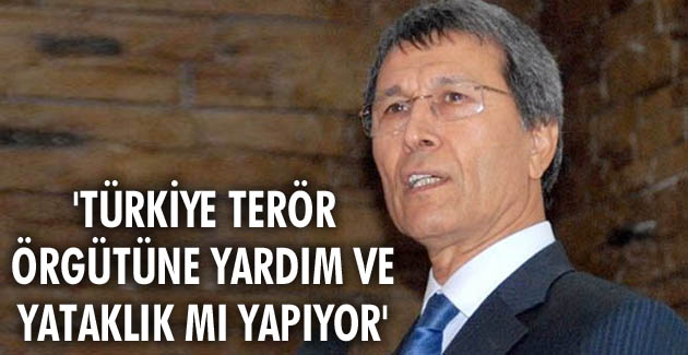Halaçoğlu: Türkiye terör örgütüne yardım ve yataklık mı yapıyor