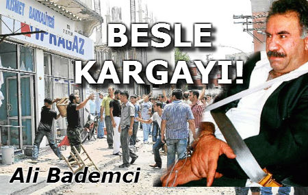 Besle Kargayı!