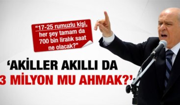 Devlet Bahçeli iktidarı topa tuttu!