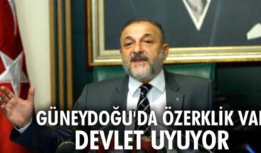 ‘Güneydoğu’da Özerklik var, Devlet uyuyor’