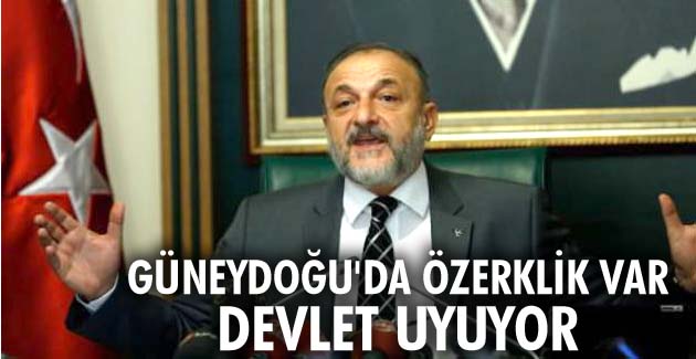 ‘Güneydoğu’da Özerklik var, Devlet uyuyor’