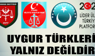 Uygur Türkleri Yalnız Değildir.