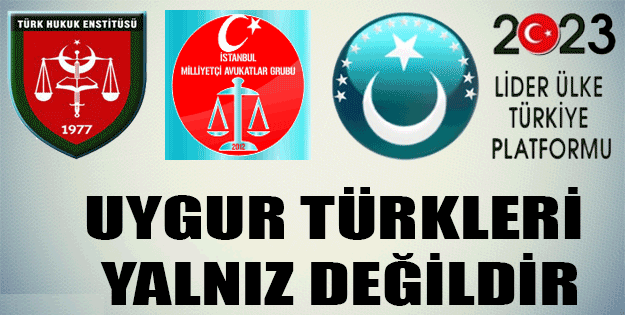 Uygur Türkleri Yalnız Değildir.