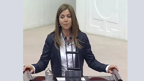 MHP’Lİ TOPÇU: BUNLARIN DİNİ KİNLERİ OLDU