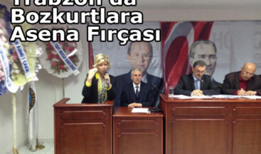 Trabzon’da Bozkurtlara Asena Fırçası