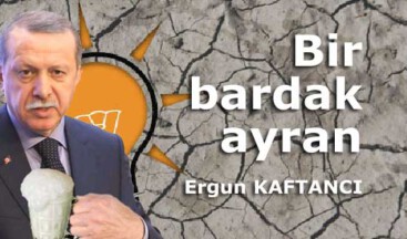Bir bardak ayran