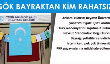 Gök Bayraktan Kim Rahatsız?
