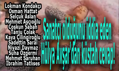 Sanatçı olduğunu iddia eden Hülya Avşar’dan küstah cevap!