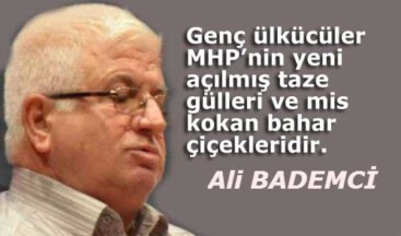 SEÇİM STRATEJİLERİ 2