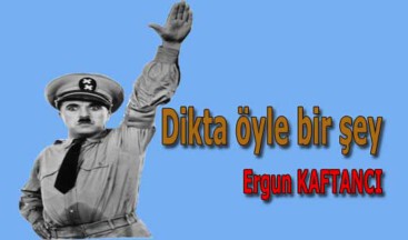 Dikta öyle bir şey