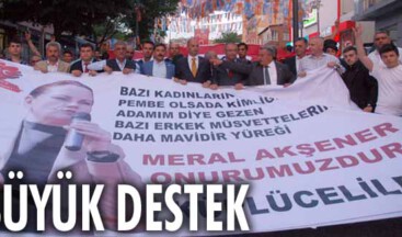 Meral Akşener’e destek için yürüdüler