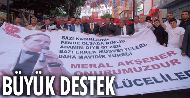 Meral Akşener’e destek için yürüdüler