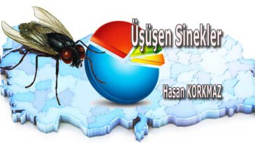 Seçim Sonuçları Üzerine Üşüşen Sinekler