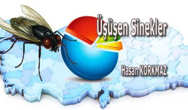 Seçim Sonuçları Üzerine Üşüşen Sinekler