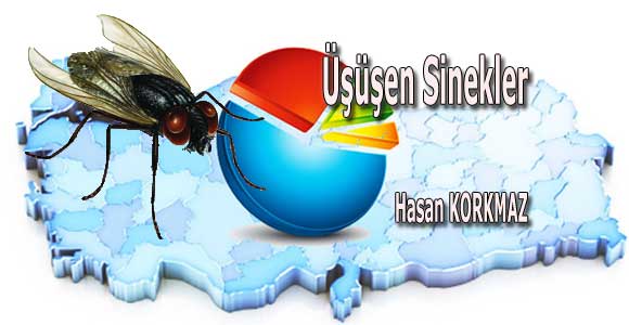 Seçim Sonuçları Üzerine Üşüşen Sinekler