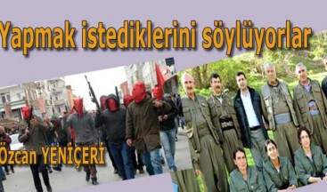 Yapmak istediklerini söylüyorlar