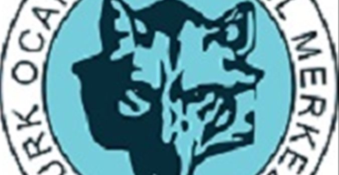 Türk Ocakları’ndan “Teröre Karşı Tek Yürek!”