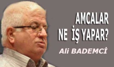 AMCALAR NE  İŞ YAPAR?