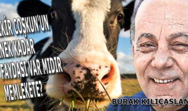 Bekir Coşkun’un İnek Kadar Faydası Var Mıdır Memlekete?