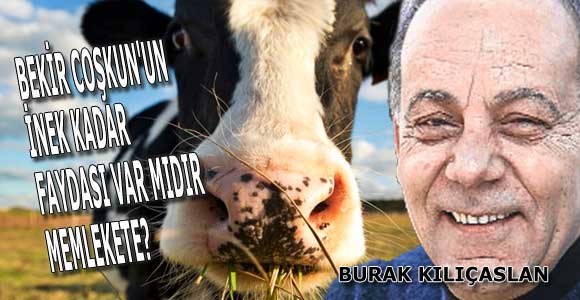Bekir Coşkun’un İnek Kadar Faydası Var Mıdır Memlekete?