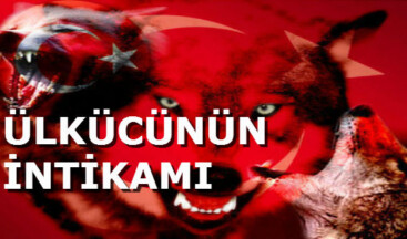 ÜLKÜCÜNÜN İNTİKAMI