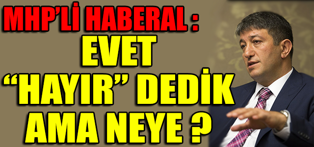 EVET “HAYIR” DEDİK AMA NEYE ?