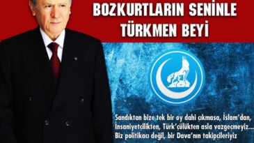 Çakallar meydana çıktı