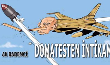 DOMATESTEN İNTİKAM