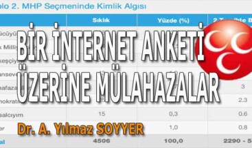 BİR İNTERNET ANKETİ ÜZERİNE MÜLAHAZALAR
