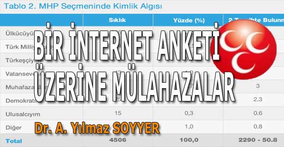 BİR İNTERNET ANKETİ ÜZERİNE MÜLAHAZALAR