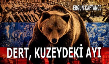 Dert, kuzeydeki ayı
