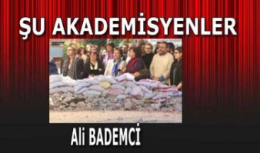ŞU AKADEMİSYENLER