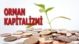 ORMAN KAPİTALİZMİ