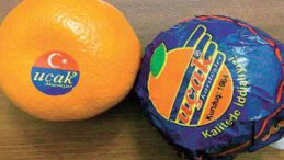 ‘Uçak mandalina’ Rusya’da düştü!