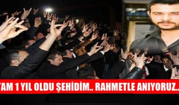 TAM 1 YIL OLDU ŞEHİDİM.. RAHMETLE ANIYORUZ..