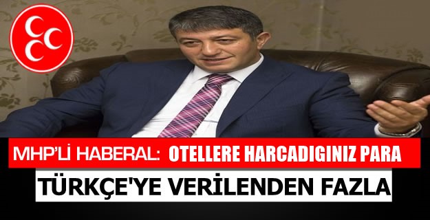 OTELLERE HARCADIGINIZ PARA TÜRKÇE’YE VERİLENDEN FAZLA