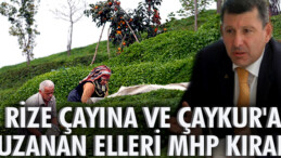 RİZE ÇAYINA VE ÇAYKUR’A UZANAN ELLERİ MHP KIRAR