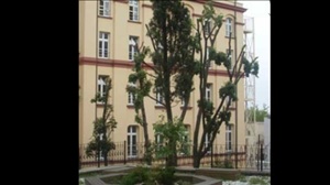 Alman Okullarına Nevruz Tatili